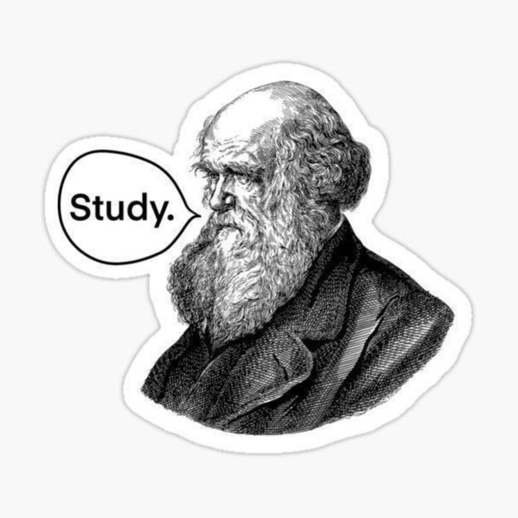 استیکر ضدآب برش خورده طرح پرتره فیلسوف سقراط افلاطون با حباب Study سایز ۴ سانتی متر