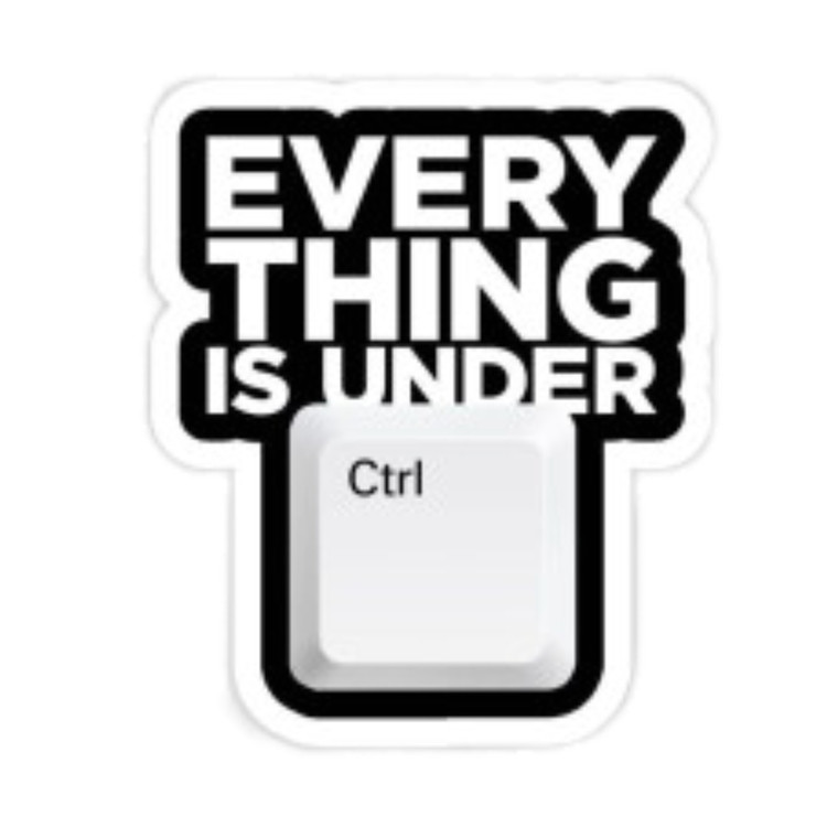استیکر ضدآب برش خورده طرح تایپوگرافی EVERYTHING IS UNDER CONTROL سایز ۳ سانتی متر