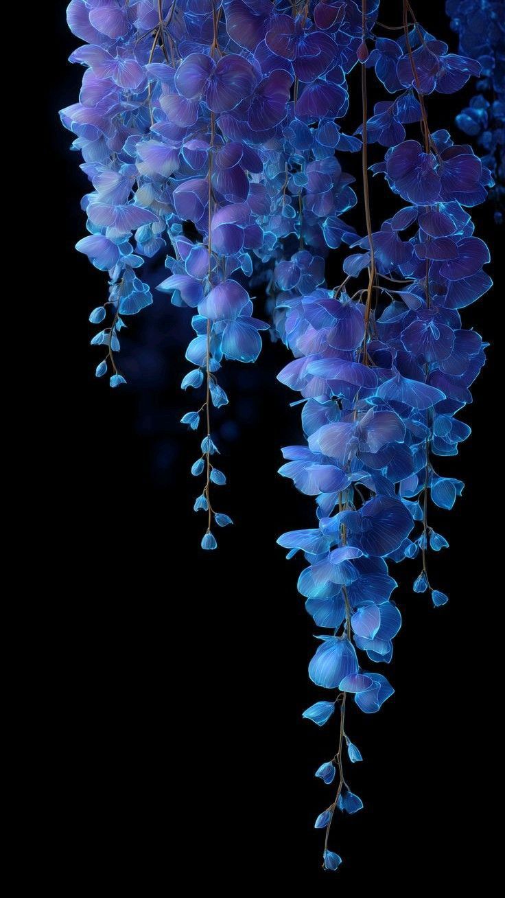 استیکر کارت 75